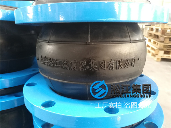 沧州热电厂核主泵橡胶球型软连接